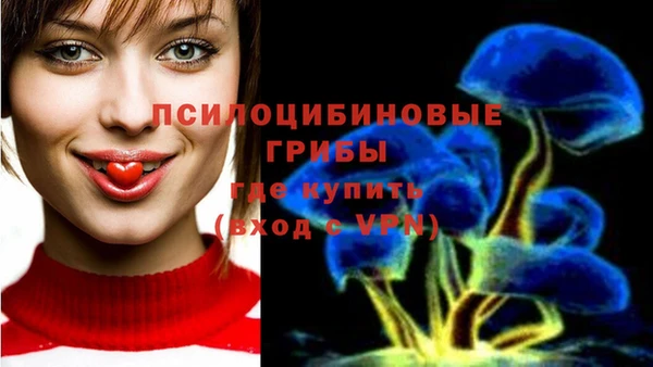бутират Бронницы