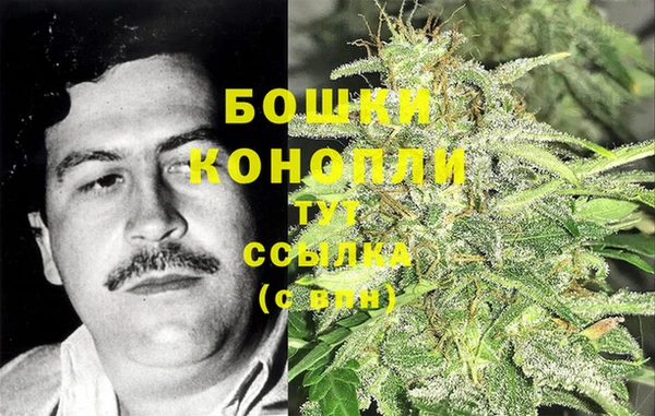 шишки Богородицк