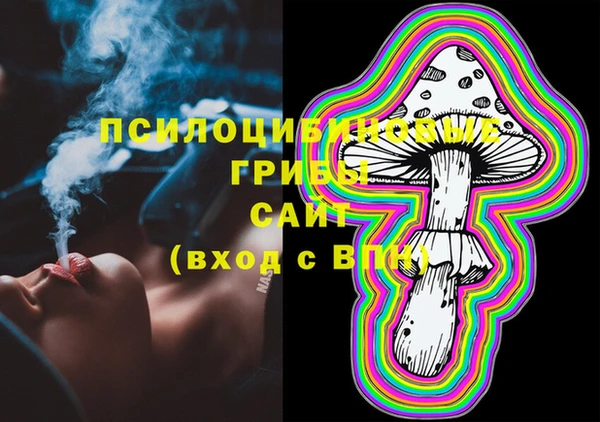 шишки Богородицк
