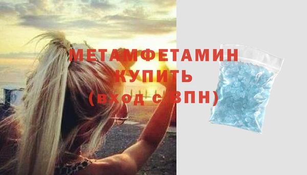 шишки Богородицк