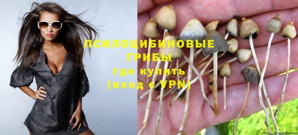 шишки Богородицк